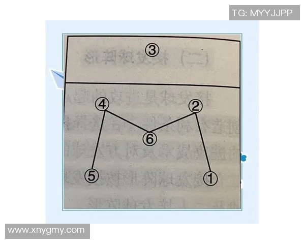 重庆排球队实力解析：各队员表现与战术对比全面剖析